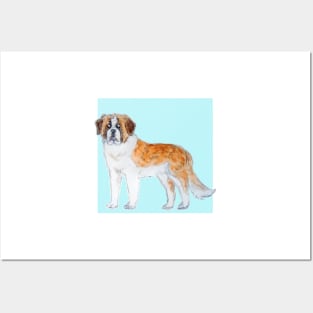 Saint Bernard Posters and Art